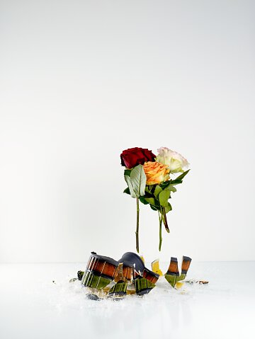 Zerbrochene Blumenvase