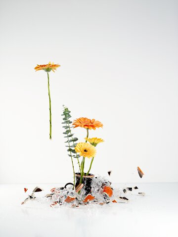 Zerbrochene Blumenvase