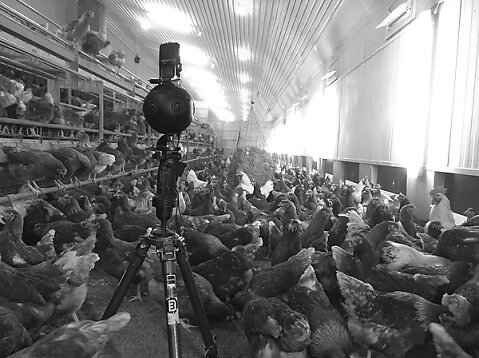 VR Video Dreh Naturland