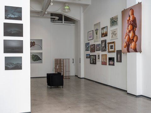 Broken flowers Ausstellung Barlach Halle